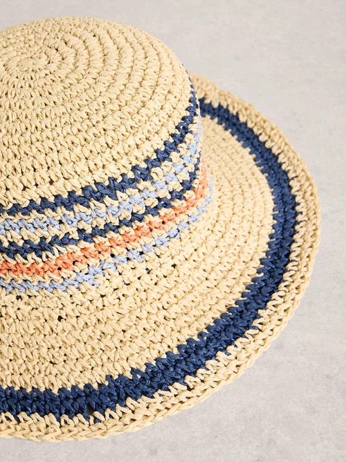 Gestreifter Sonnenhut Bild 2