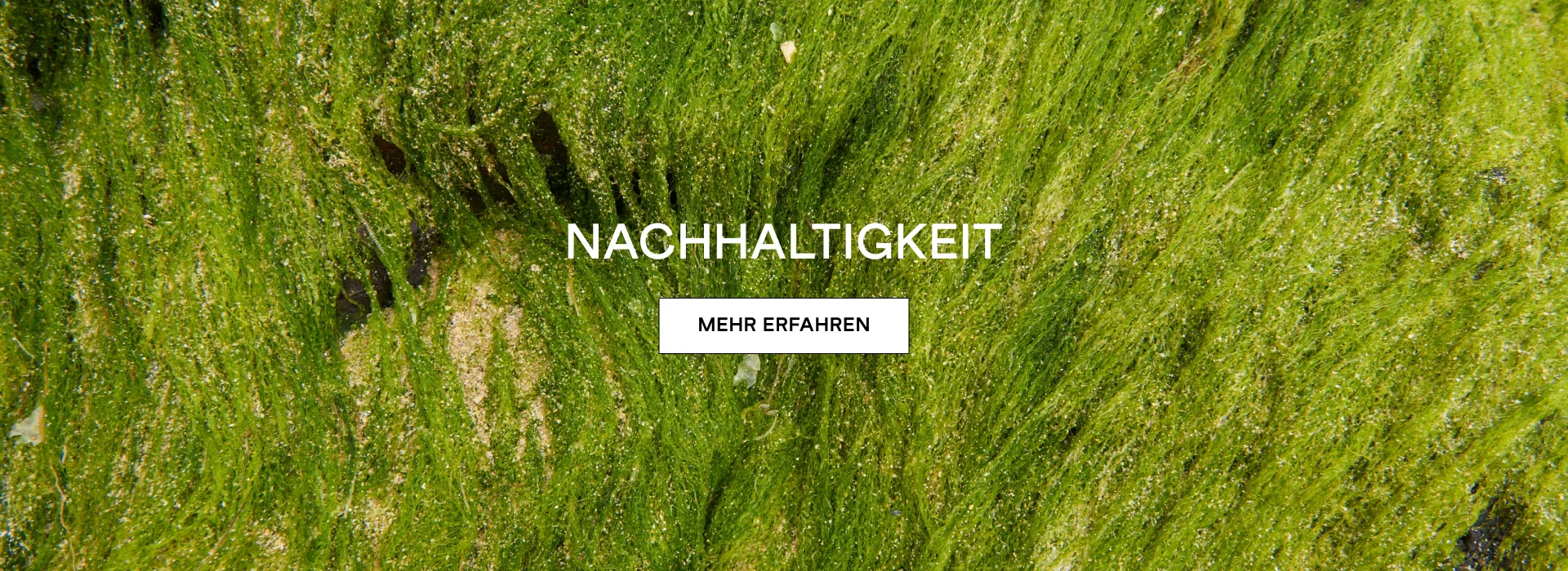 Nachhaltigkeit und Gemeinschaft