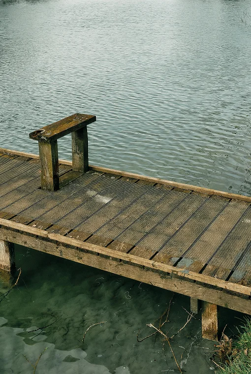 Holzplattform über Moorwasser
