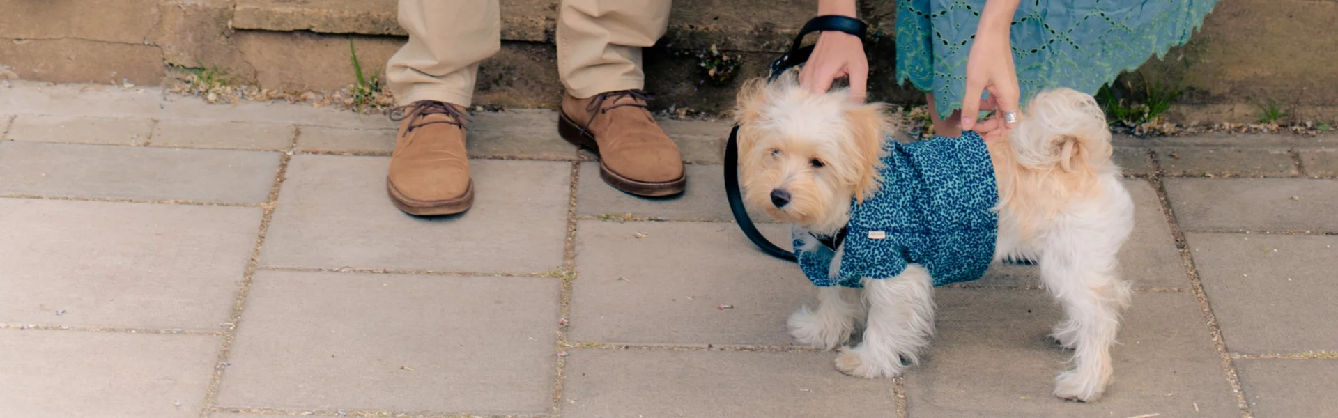 BEI WHITE STUFF ARBEITEN: Unser hundefreundliches Büro ist in Oval im Süden von London. Unsere Designer, Einkäufer, Marketing und Website Teams sitzen alle dort. Unser Verteilungslager und unser Kundenservice-Center sind in Leicester. Außerdem haben wir Voll- und Teilzeitkräfte in über 120 Shops im Vereinigten Königreich und in Deutschland.