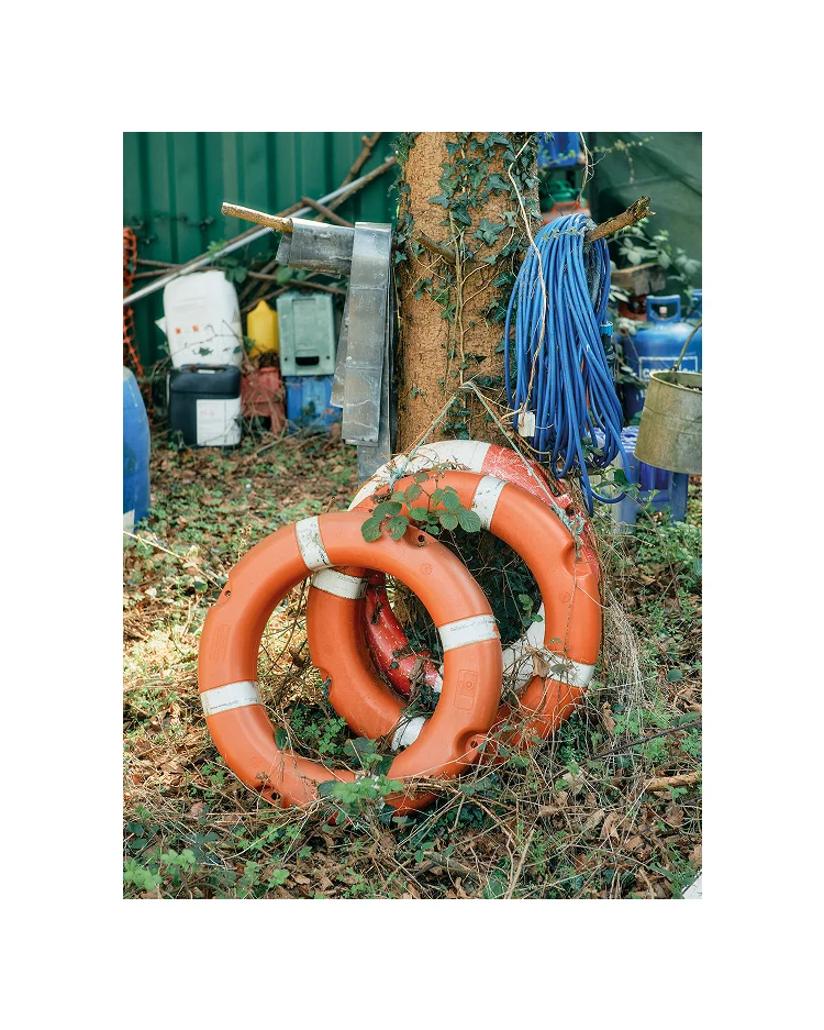 Rettungsringe gegen einen Baum