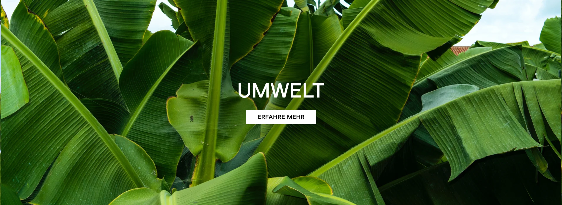 UMWELT ERFAHRE MEHR