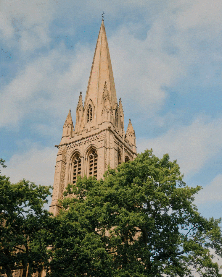 Sylvia im Scheinwerferlicht