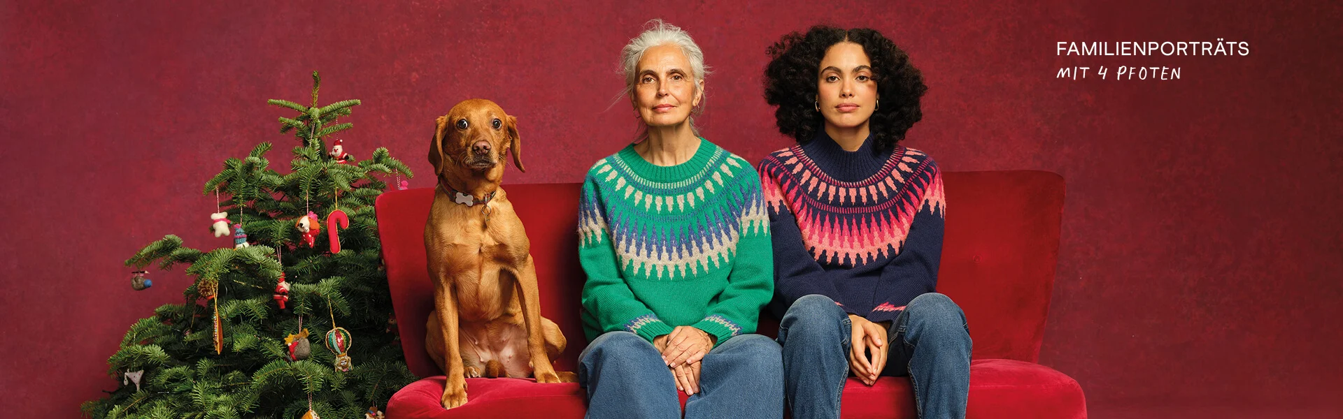 Familienporträts mit 4 Pfoten