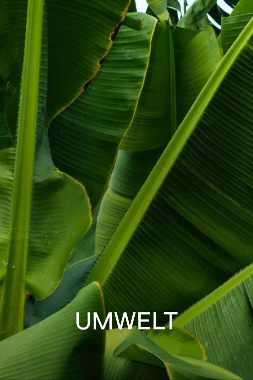 UMWELT
